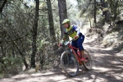 M3231412