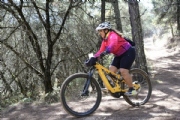 M3231668