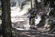 T3231783