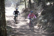 U3231977