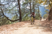 W3229580