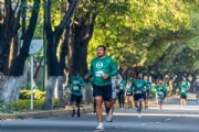 G3236488