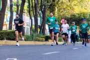 Y3236165