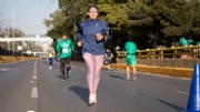H3239075