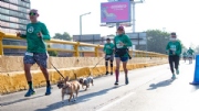 V3238693