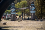 G3241518