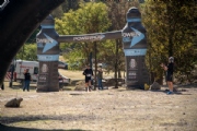 H3241319