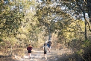 Camino de Minas