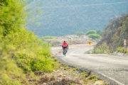 W3268729