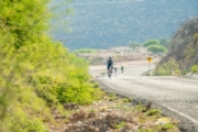 W3269339