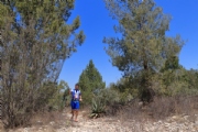 N3261225