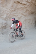 D3248856