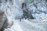 R3255695