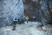 R3256431