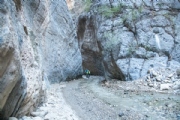 R3257484