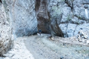 S3254281