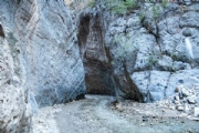 S3254458