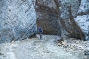 T3253688