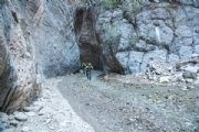 V3255474