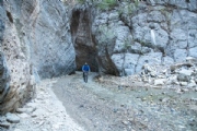 V3255734