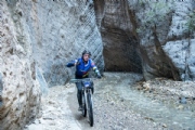 Y3254650