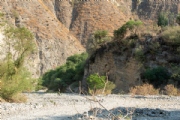 A3239282