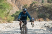 D3259238