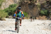 W3259015