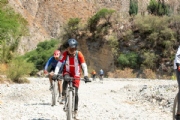 Y3259730