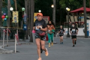 G3264411