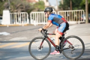 Q3286454