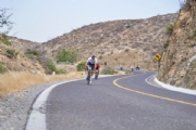 G3265991