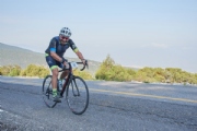 Q3272902