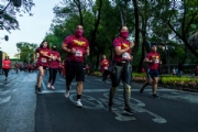 D3276486