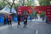 D3275953