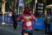 W3273534