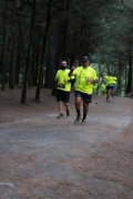 Q3281546
