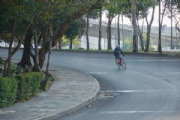 G3294295