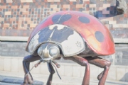 Y3293977