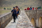 R3303372
