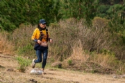 L3305698