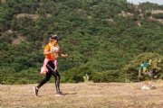 N3306500