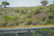 L3317292