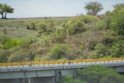 L3317350