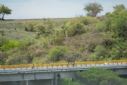 L3317511