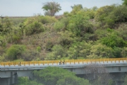 L3317532