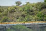 L3317539