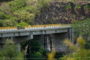 V3317398