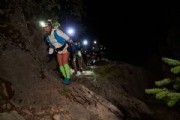 C3355654