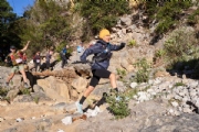 L3356929